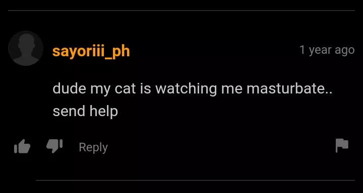 Poor cat