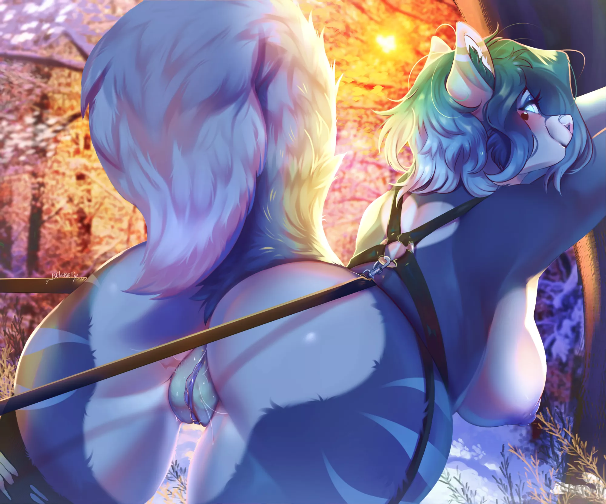 Sledding doggy wants a cuddle [F] (Nelami)