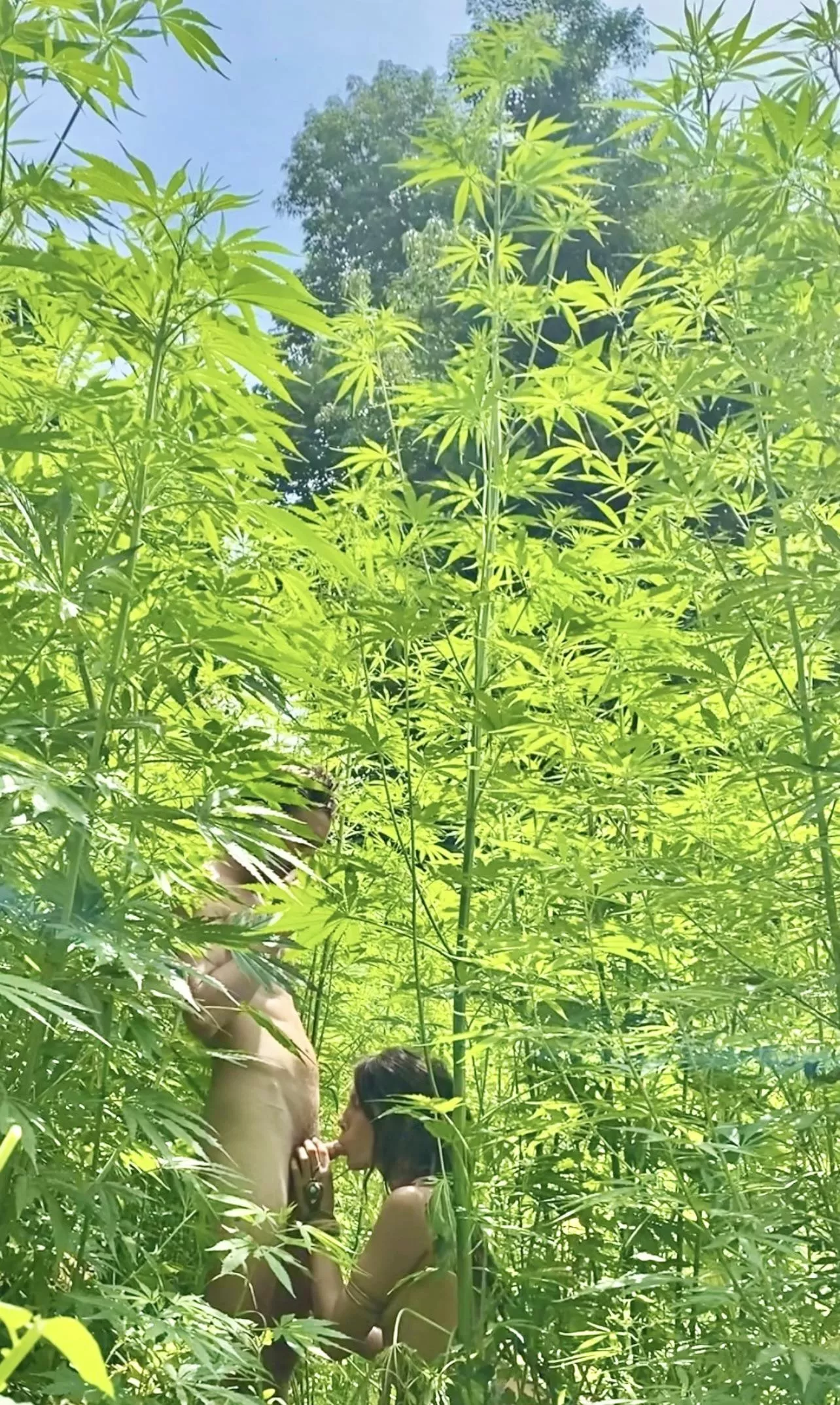 The perfect munchies