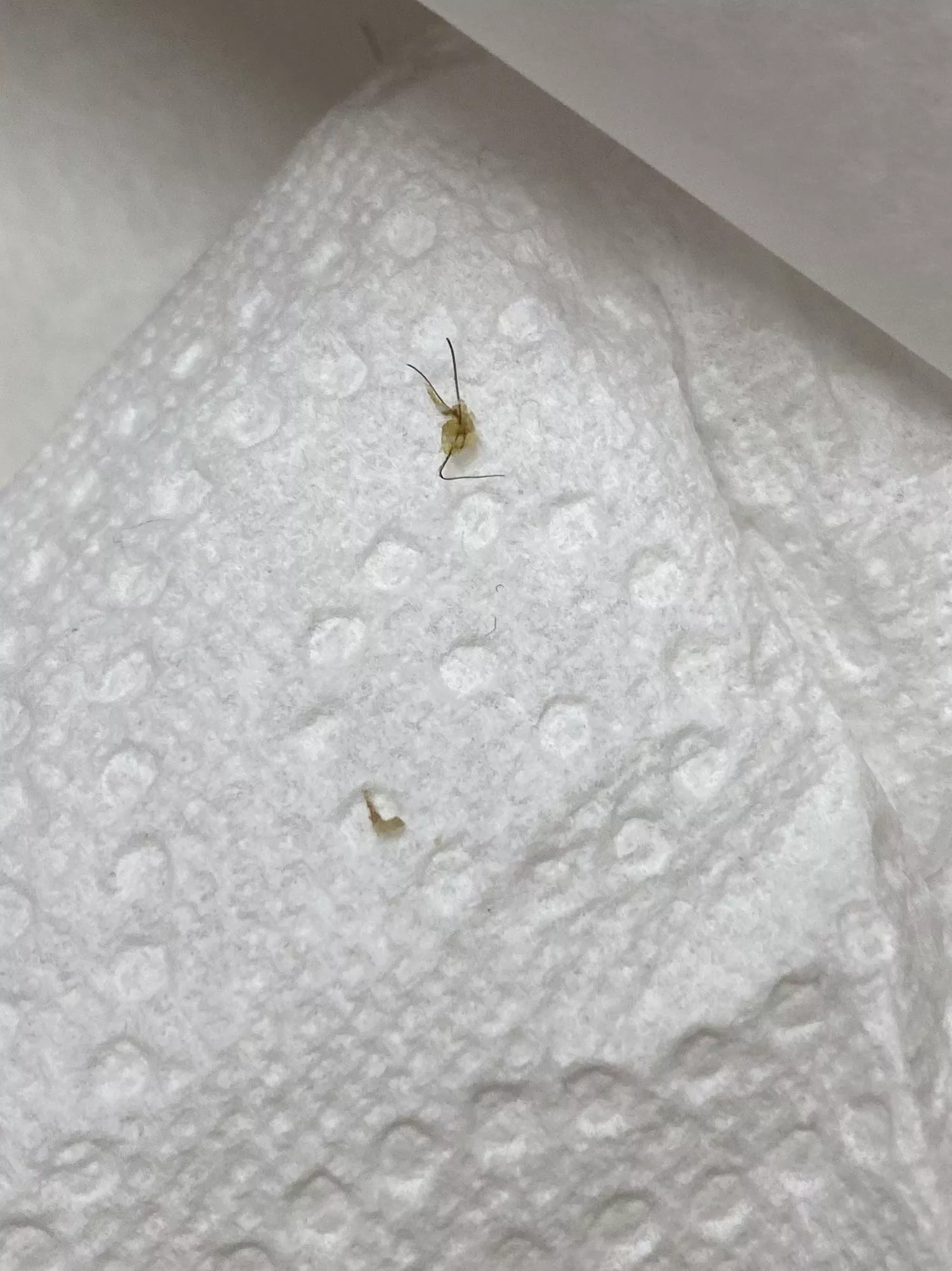 What came out of my last post