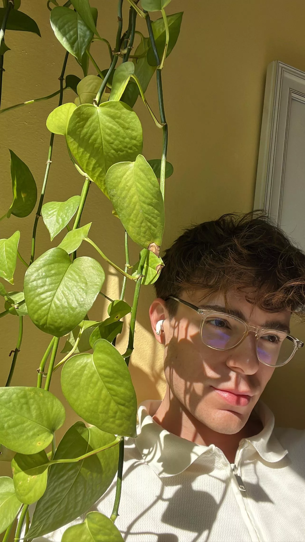 🌿☘️🤓🌱🌵