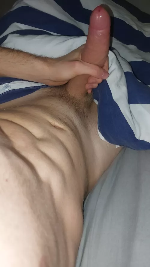 18 fit hung vers sc: oboj00