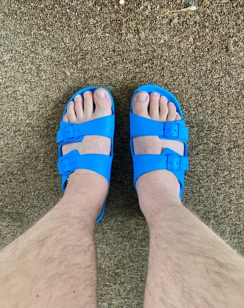 28 US size 12 bear feet.