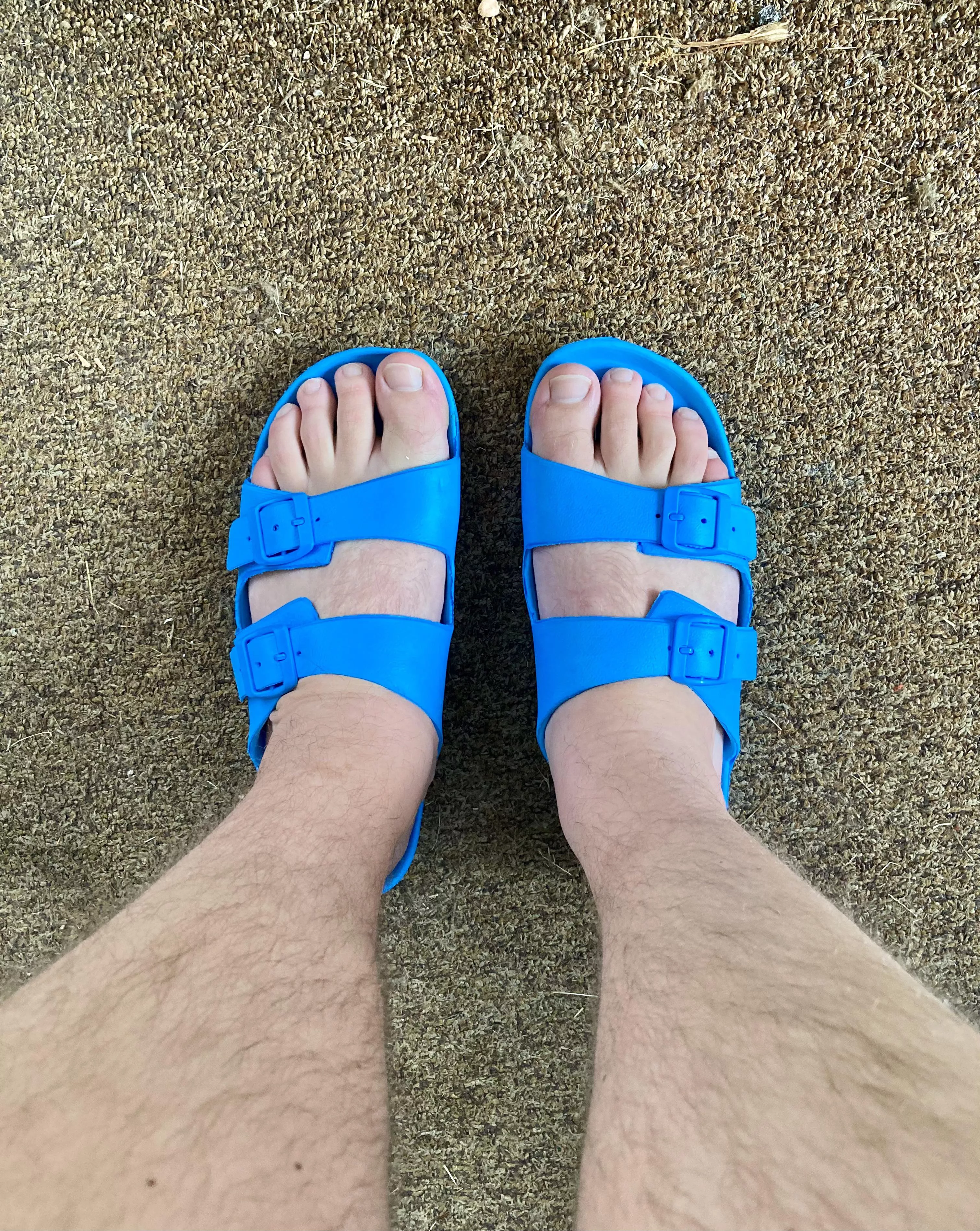 28 US size 12 bear feet.