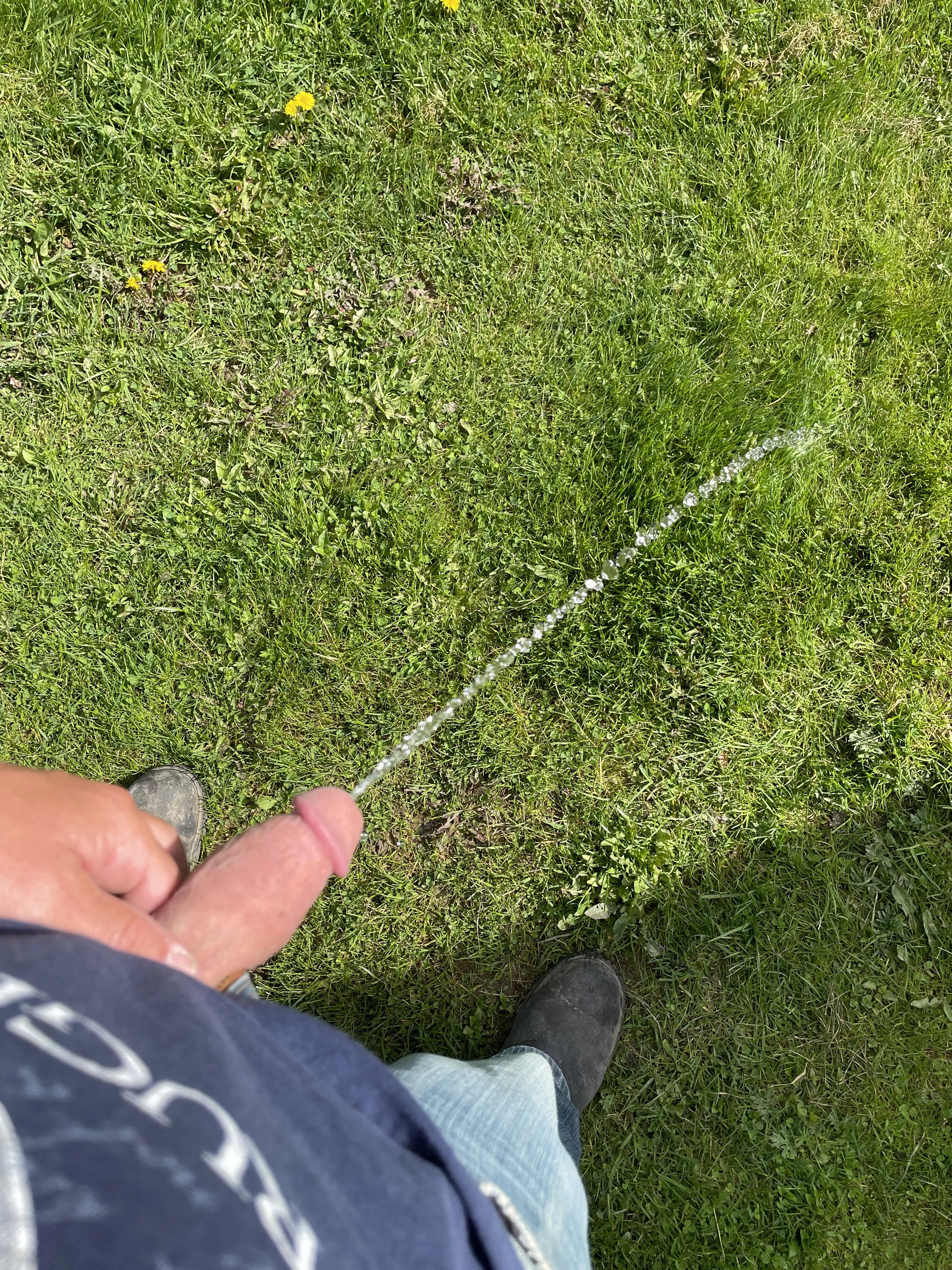 [39] gotta keep the grass watered