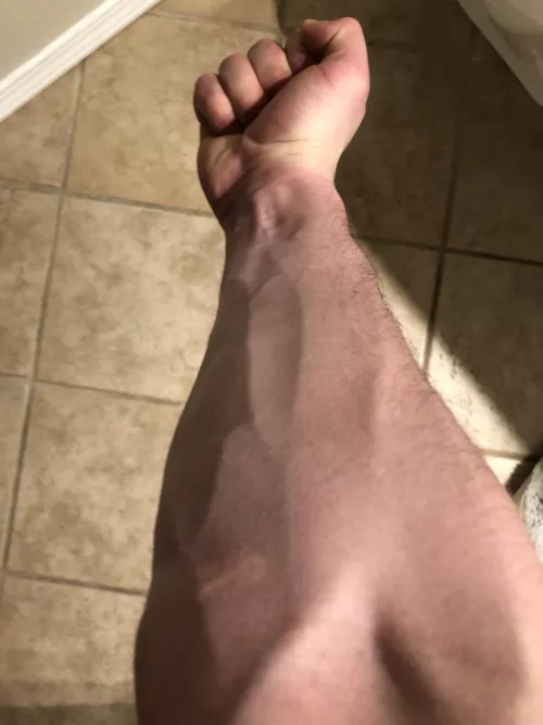 A forearm