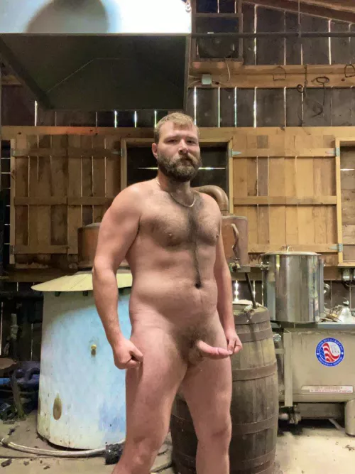 Beard, boner, barrel, bear.