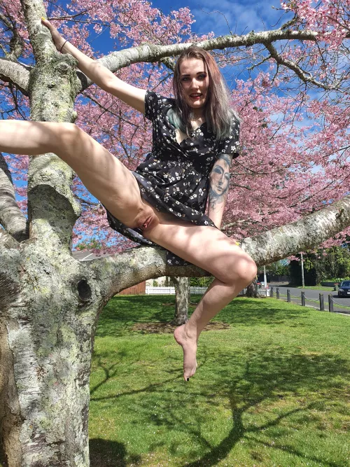 Cars driving by as I let my pussy get some attention..Would you stop?