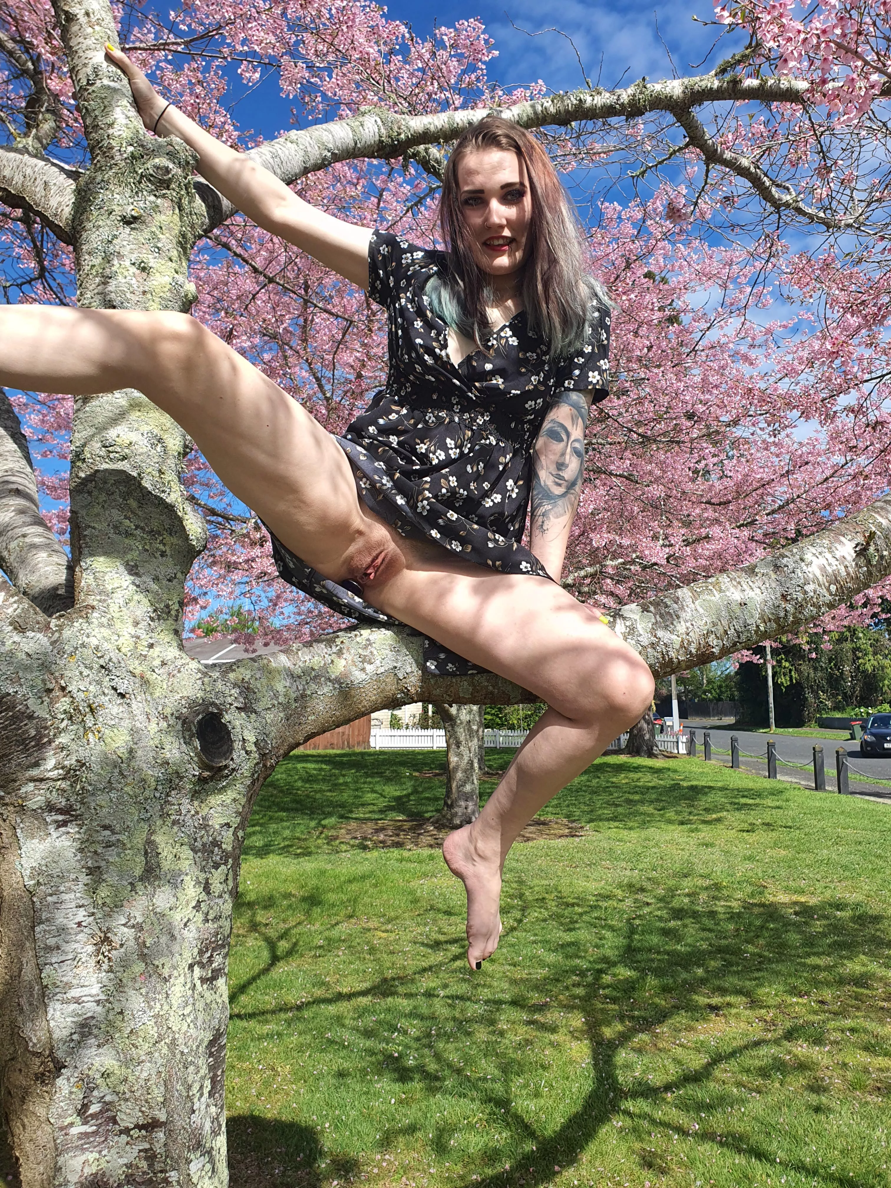 Cars driving by as I let my pussy get some attention..Would you stop?