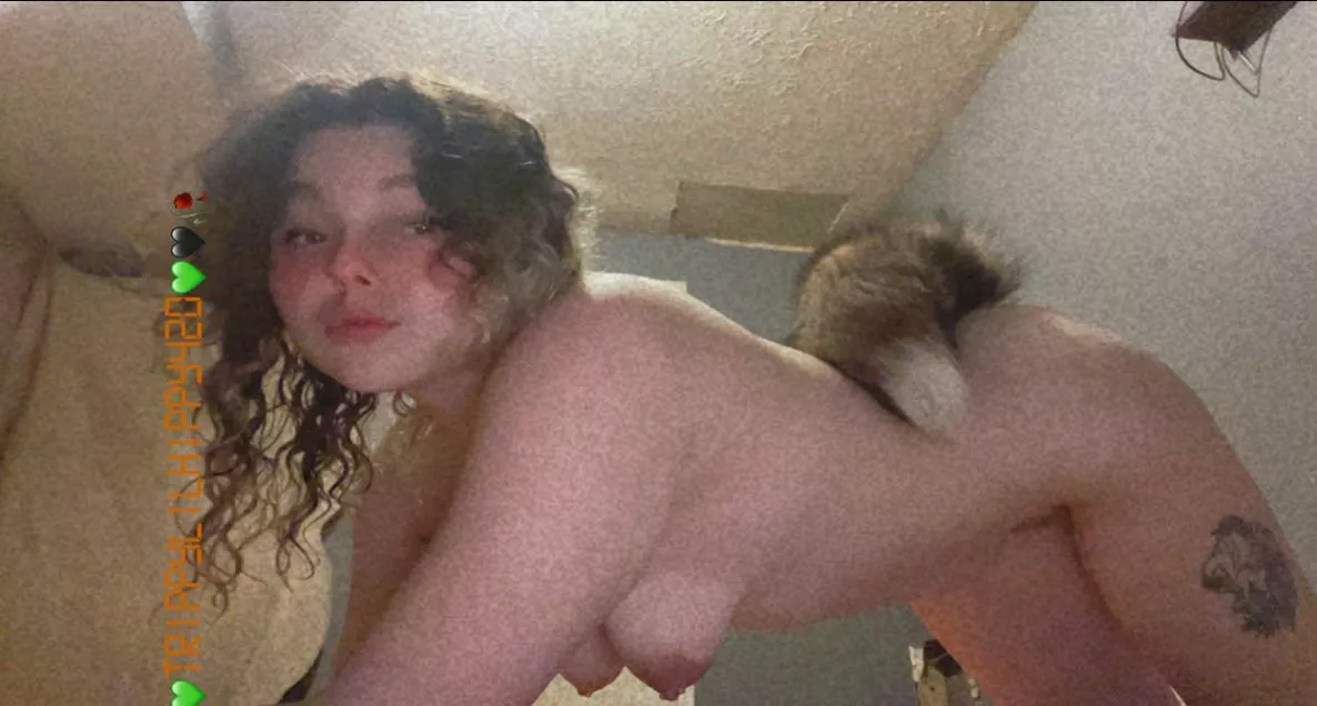 Cute obedient fox🦊 waiting for her master!