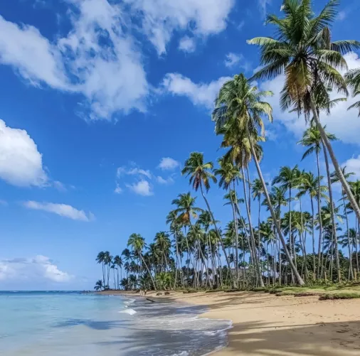 Dominican Republic😍