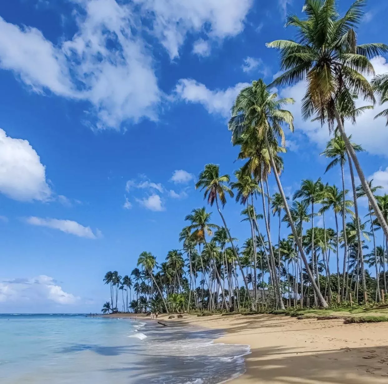 Dominican Republic😍