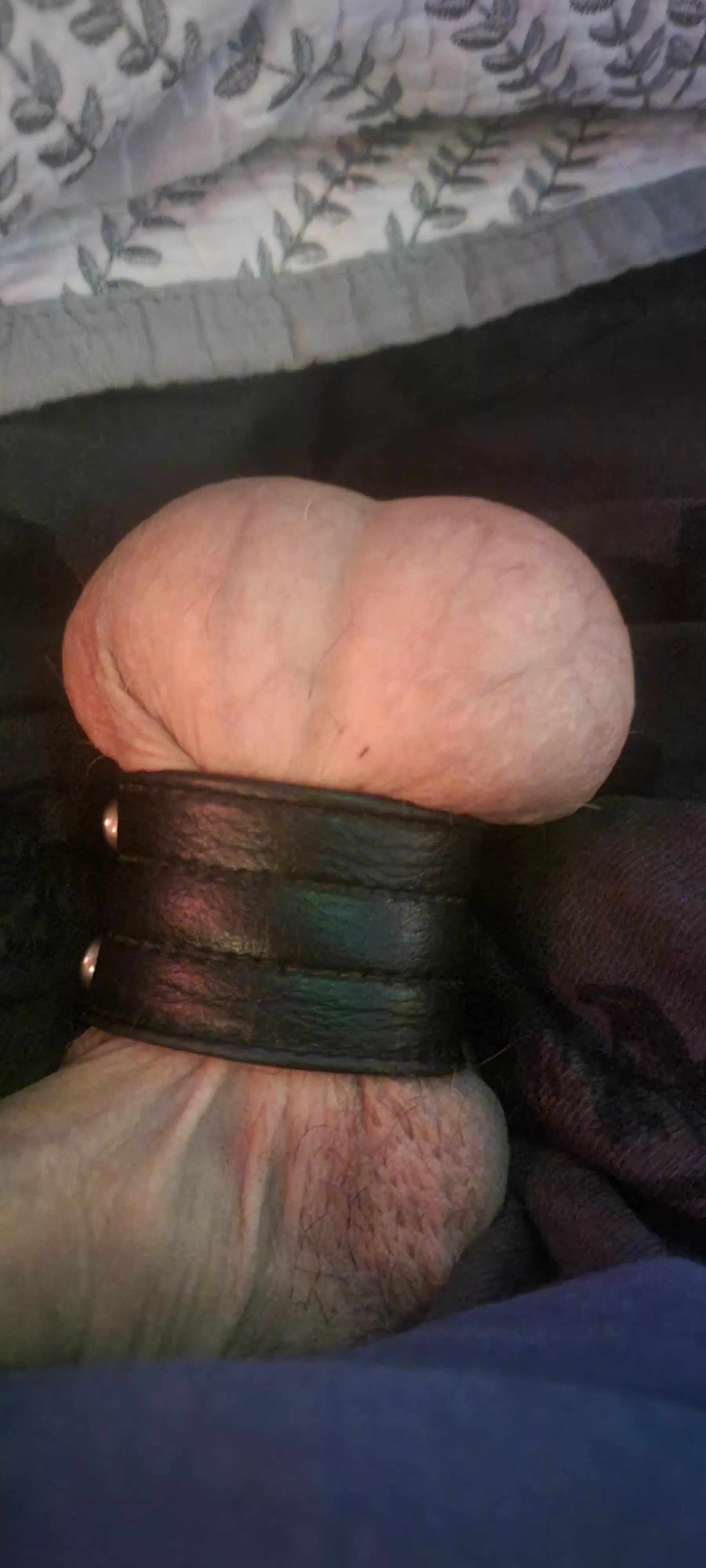 Full balls that need edged and teased. hmu.