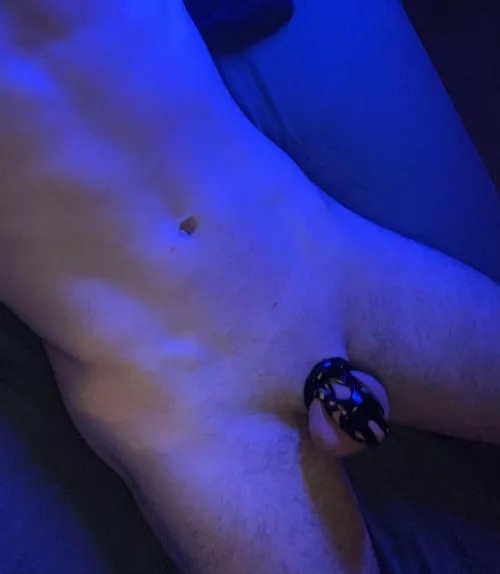 Got a new cage! What do you think?