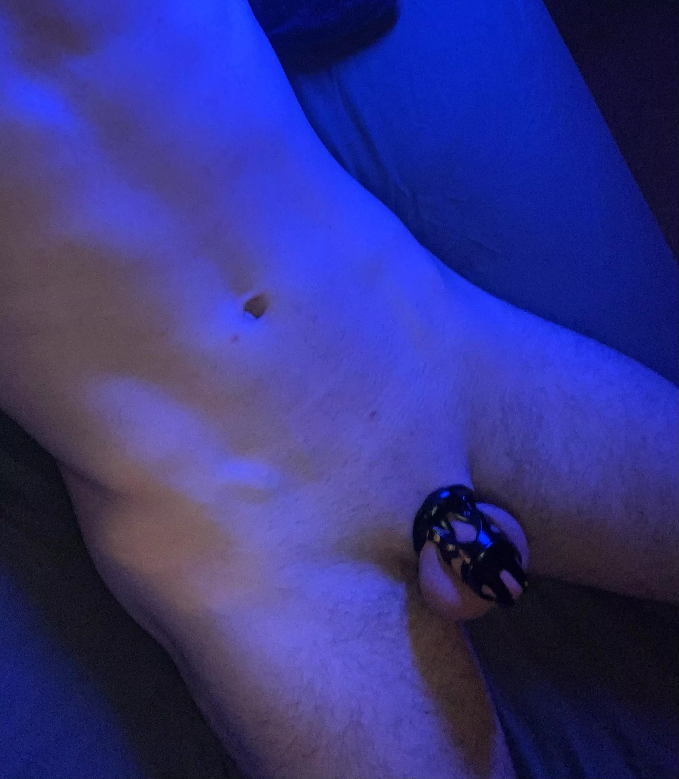 Got a new cage! What do you think?