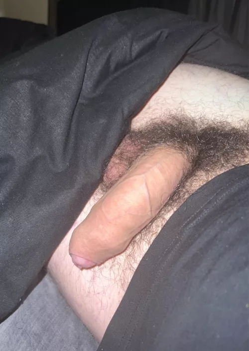Here’s a pic of my big bushy cock after I busted a load🌲🍆Dms open😈