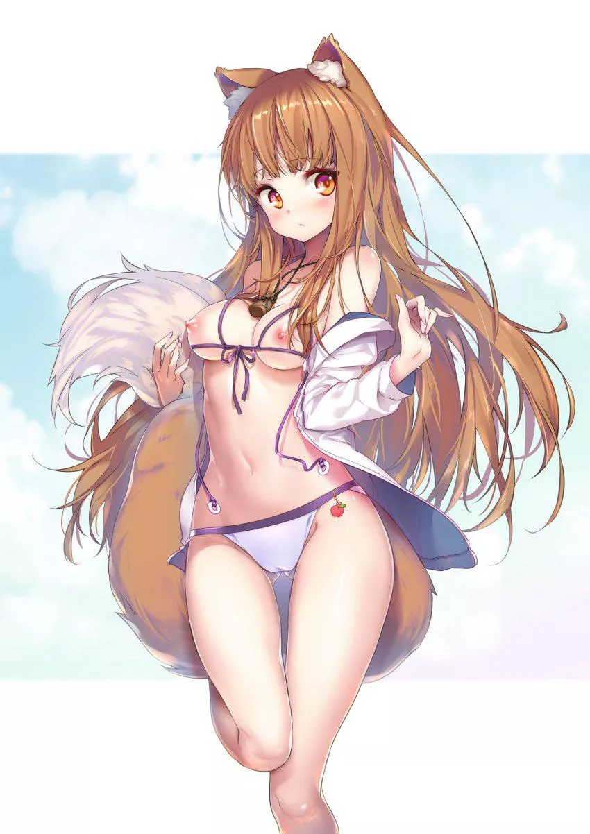 Holo (spice and wolf)