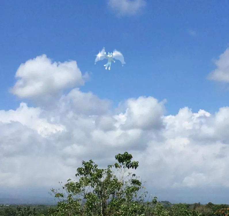 I.F.F. - Identified Flying Floof