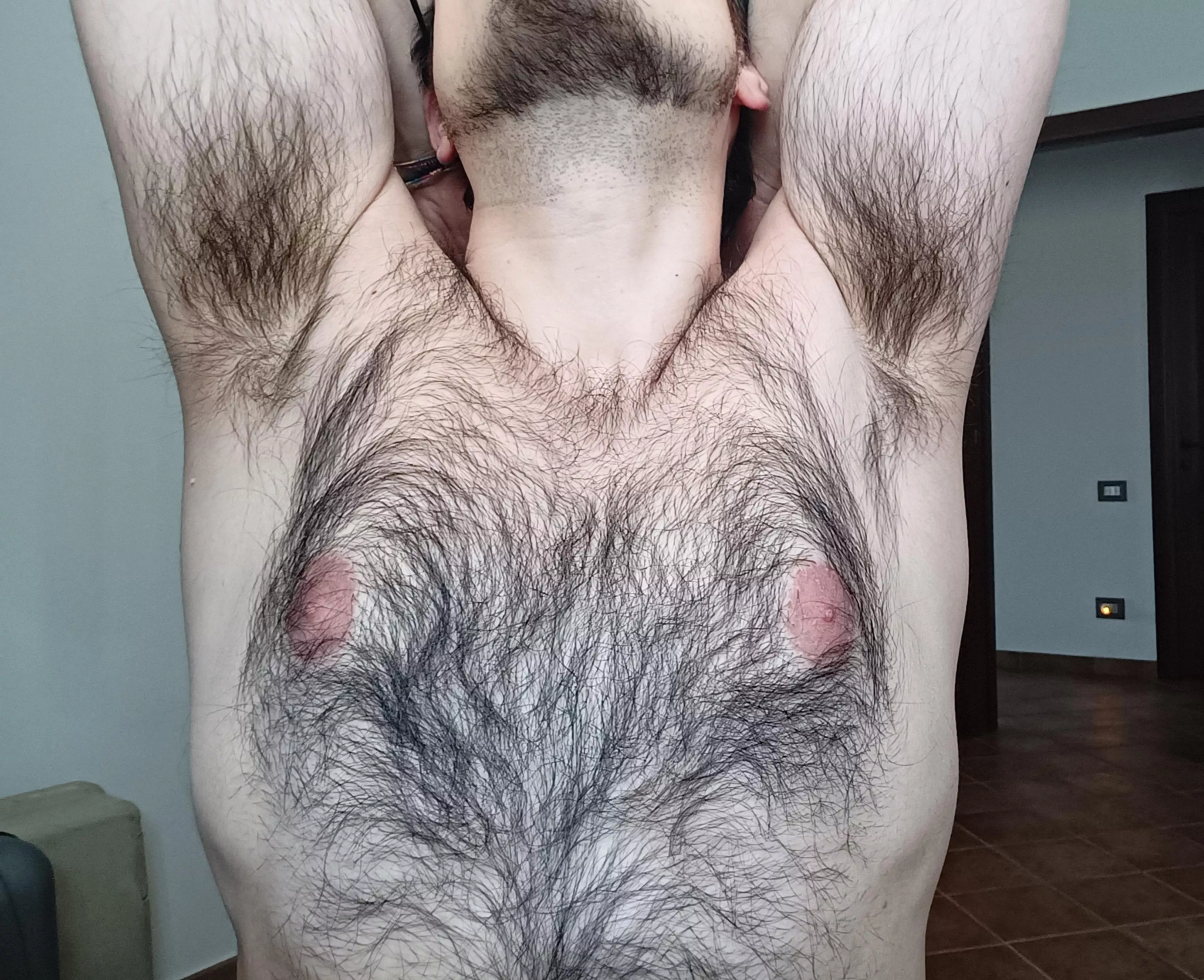 I'm all the porn you need