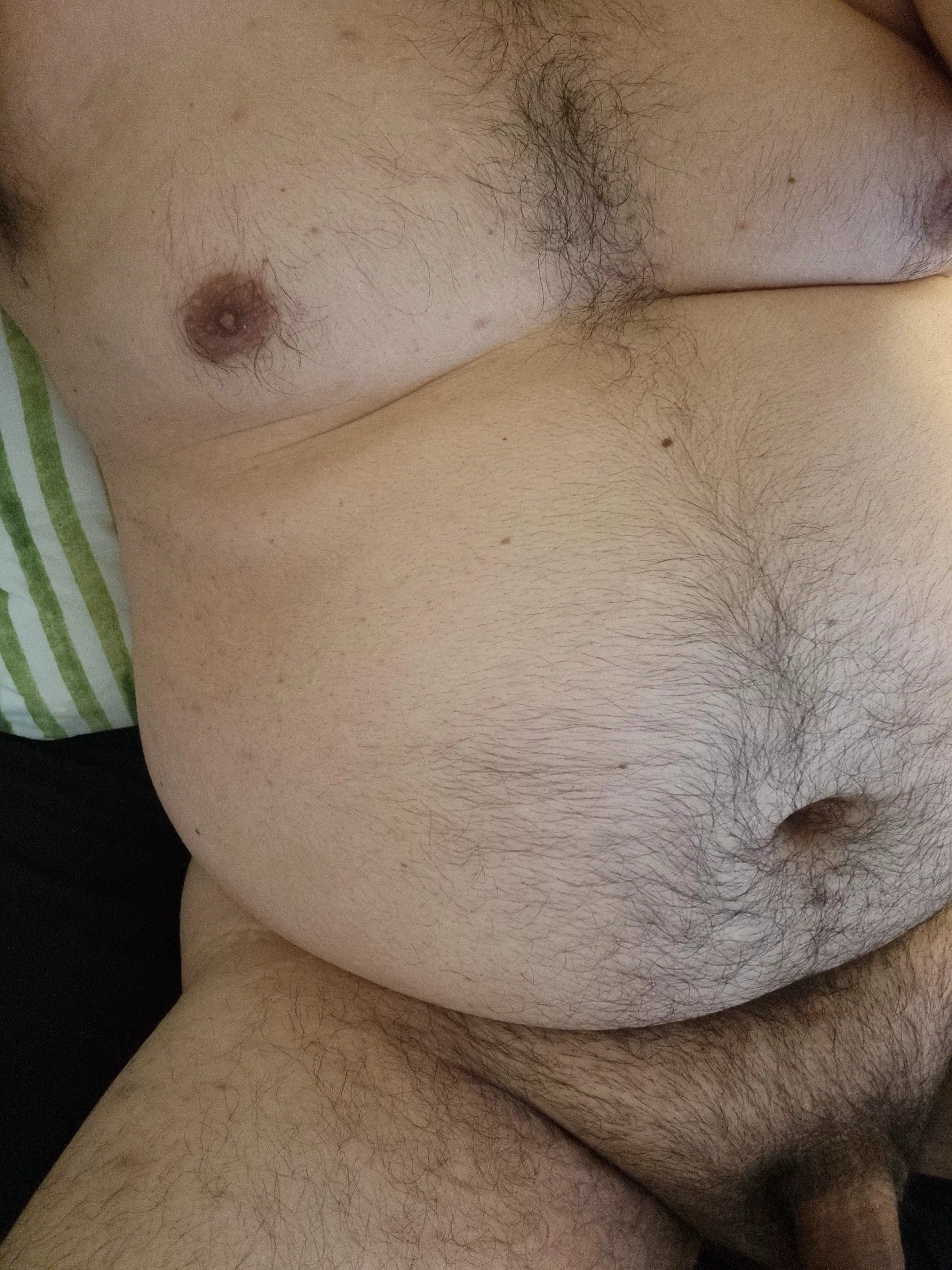 latino bear, wanna help? DMs open