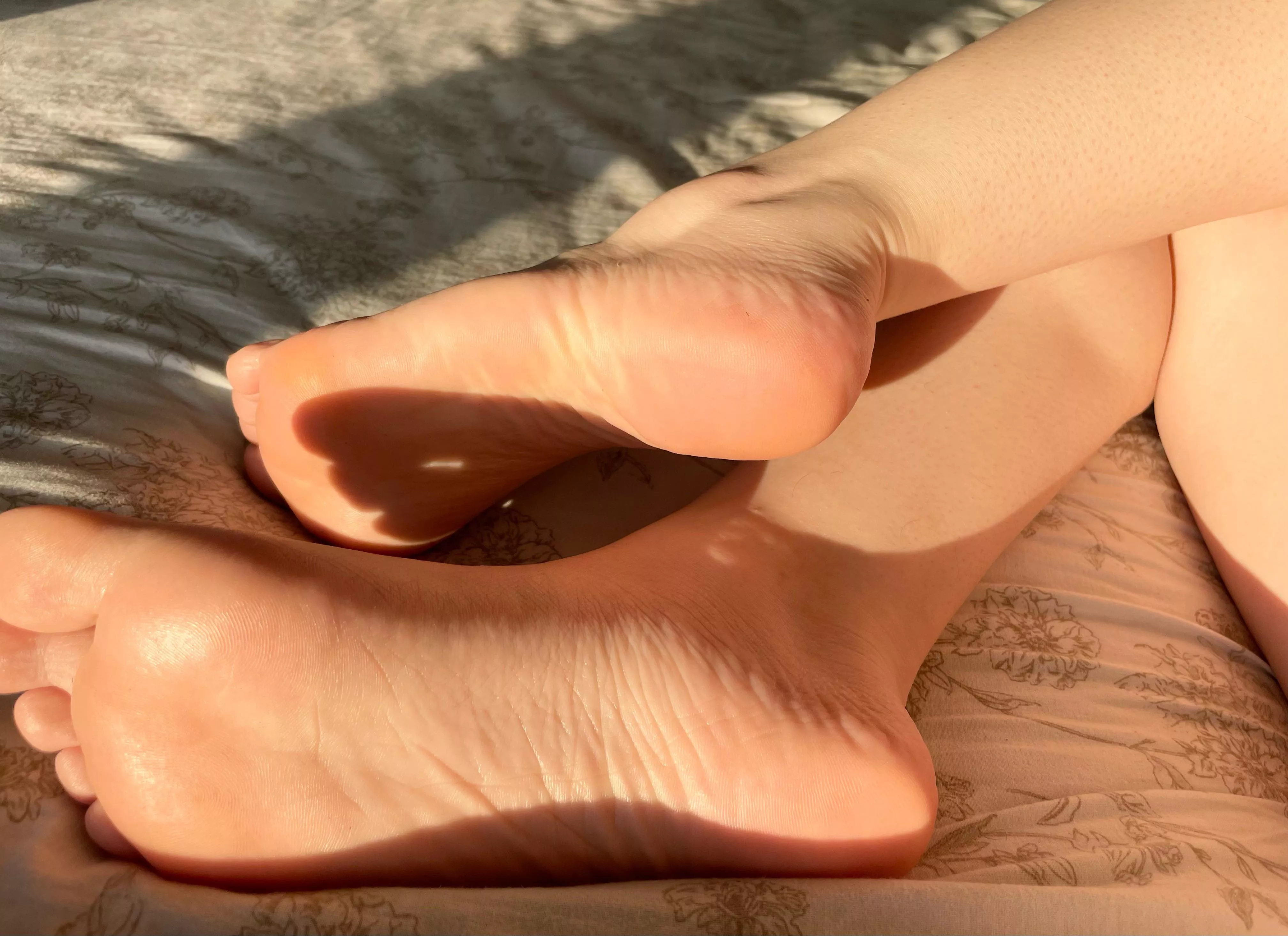 Let’s stay in bed today.