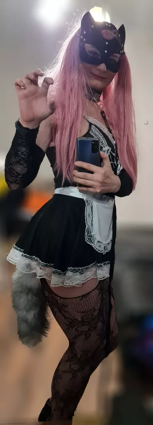 Little kitty wants to play