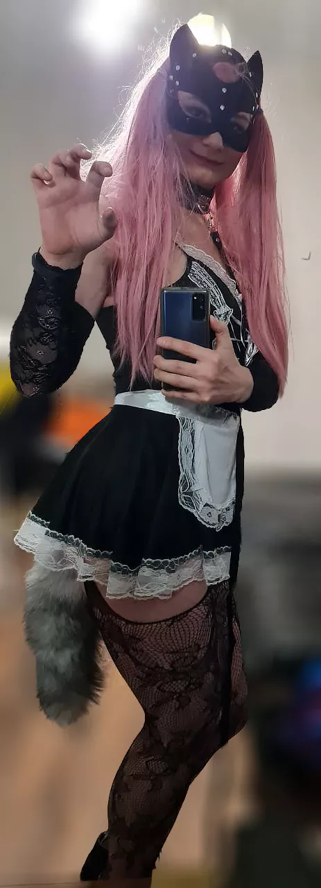 Little kitty wants to play