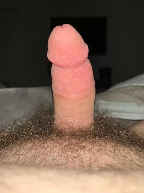 My hairy teen cock 18m