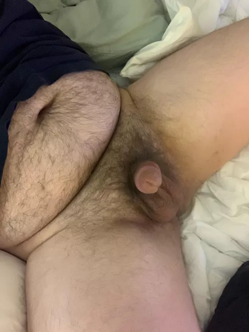 Real hairy men!