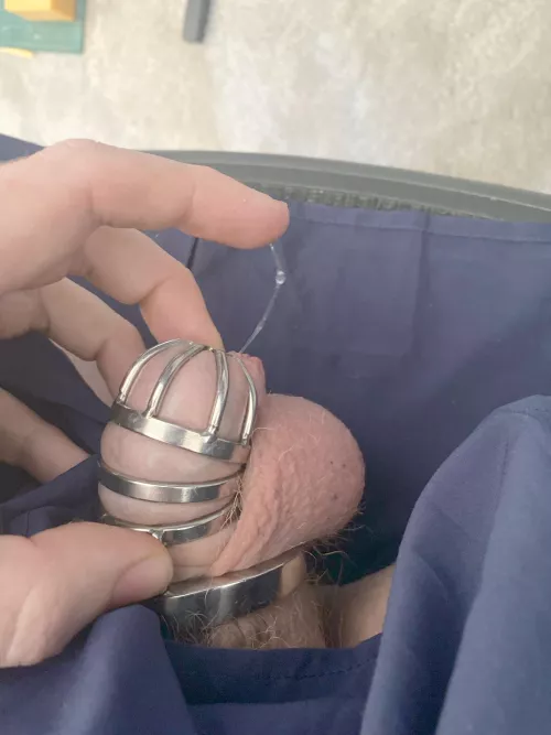 This sissy need a bit of humiliation