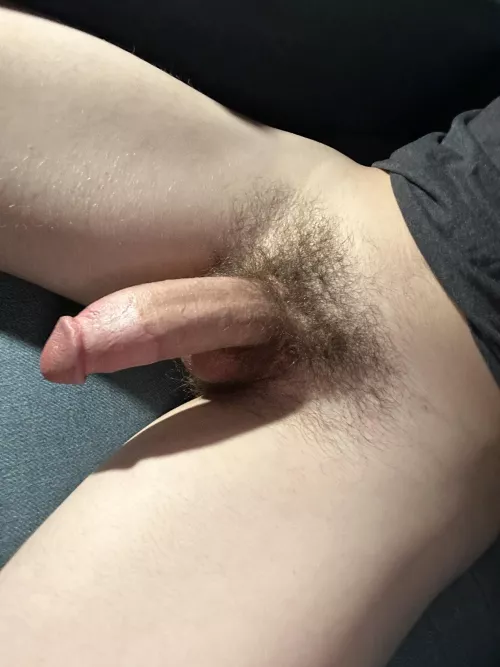 Thoughts on my cock?