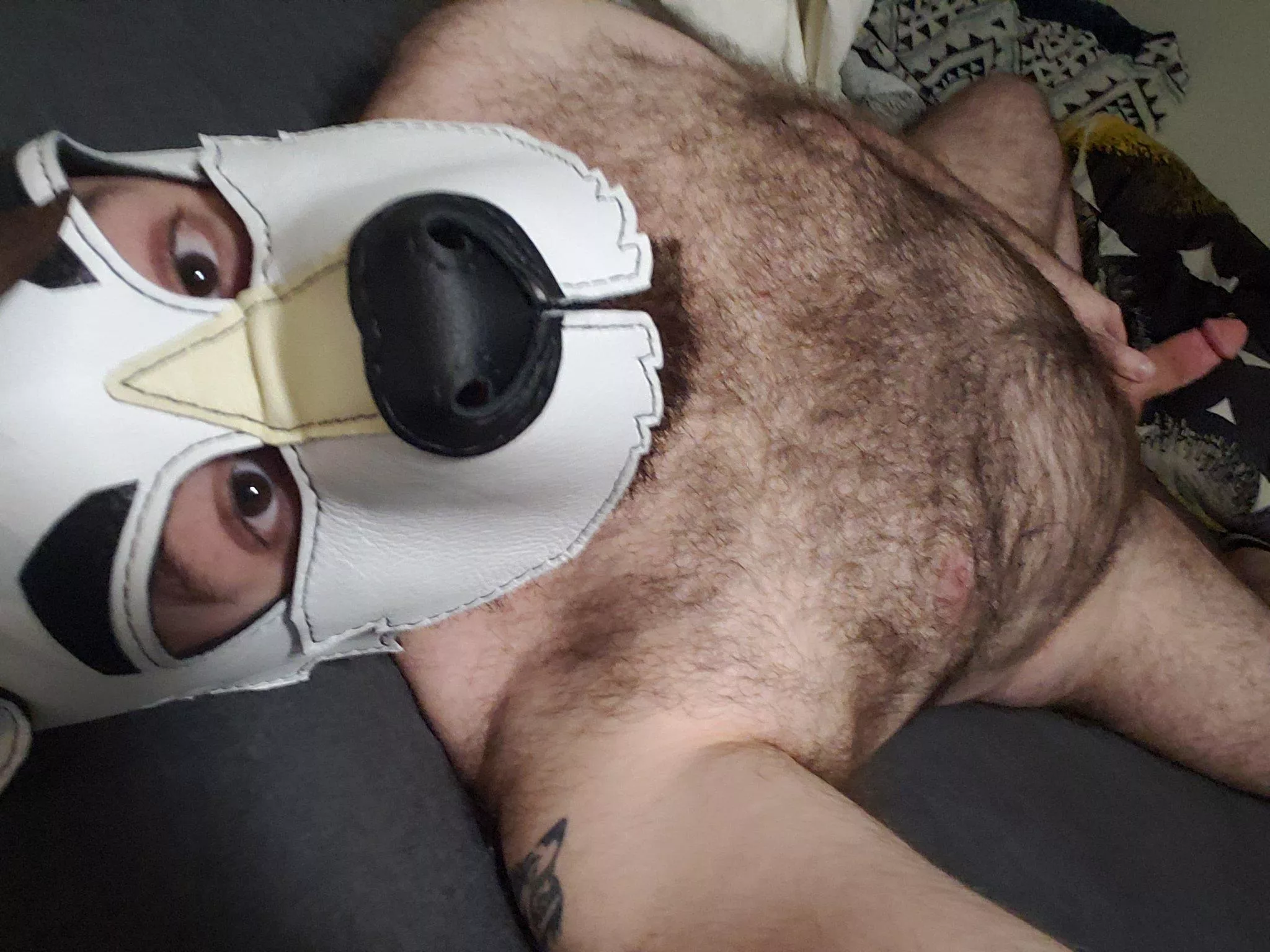 You won't need a blanket when I'm around!~ Fuzziest wolf @Sabby_Wolf