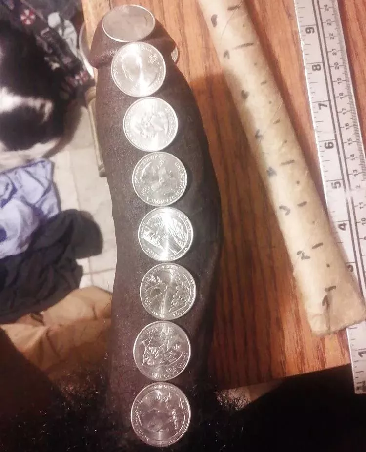 Anyone ever try this 1 out?