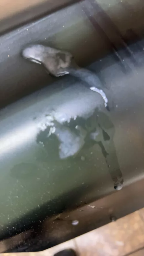 Came on the toilet paper holder at the mall