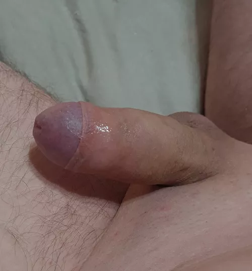 Checking out of the hood