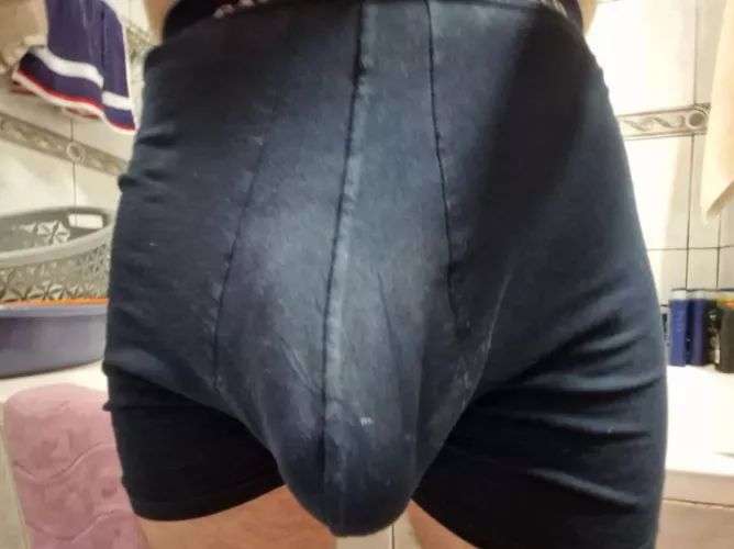 Compare with 22yo bull?