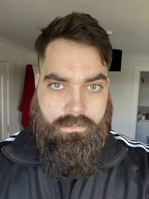 Hair cut and beard trim. Feeling good