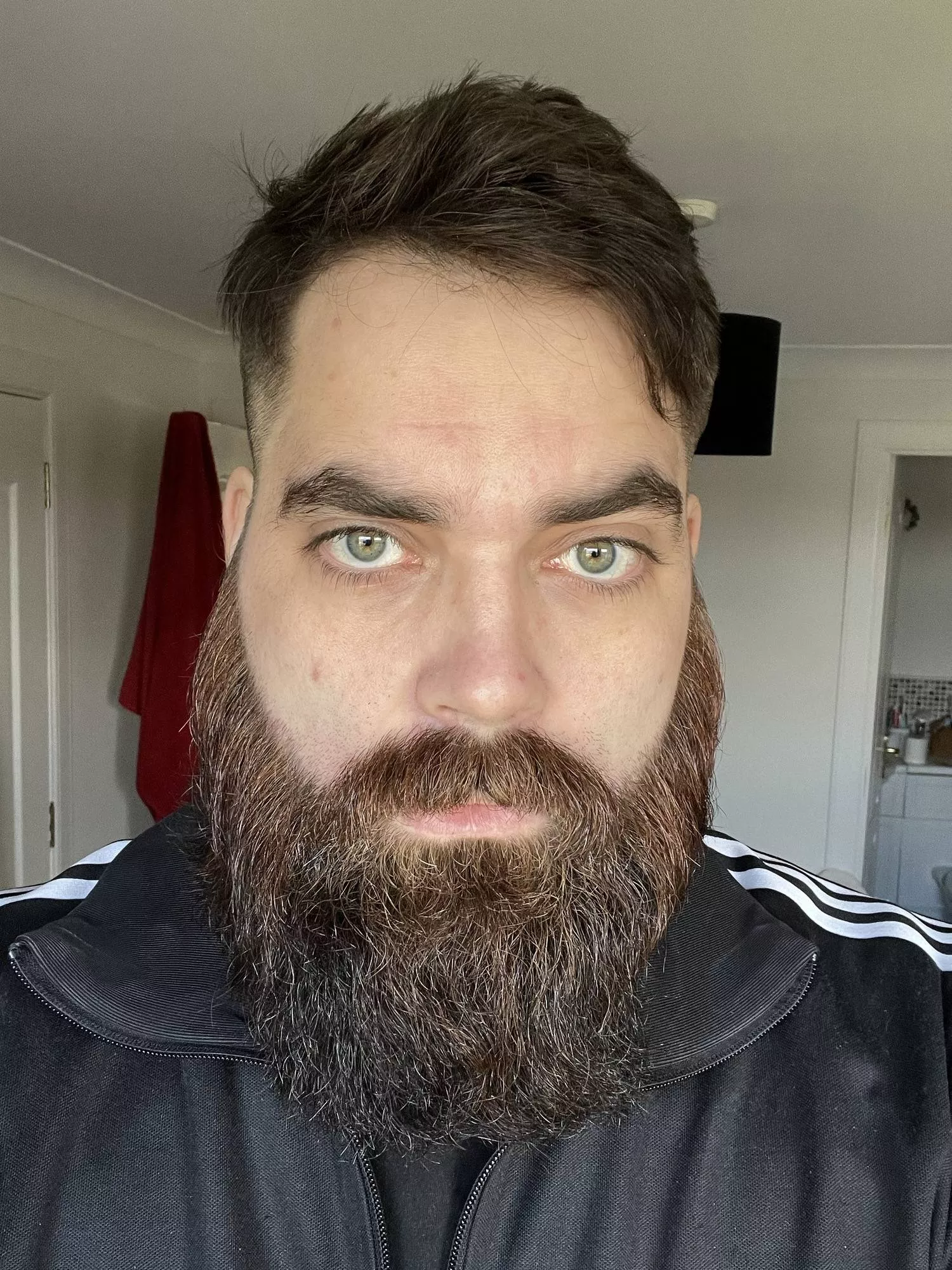 Hair cut and beard trim. Feeling good