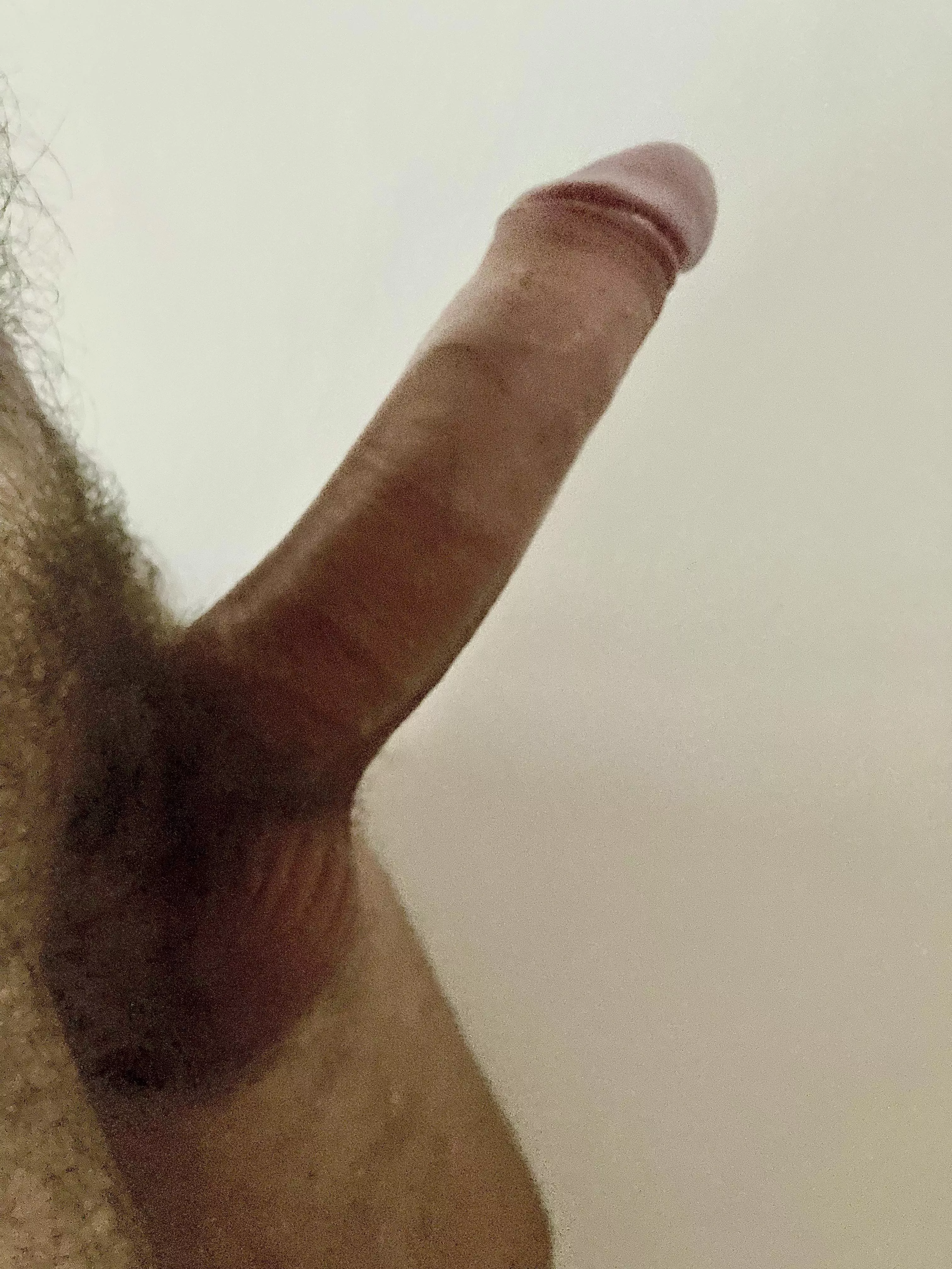 Hard, horny and ready to cum for you