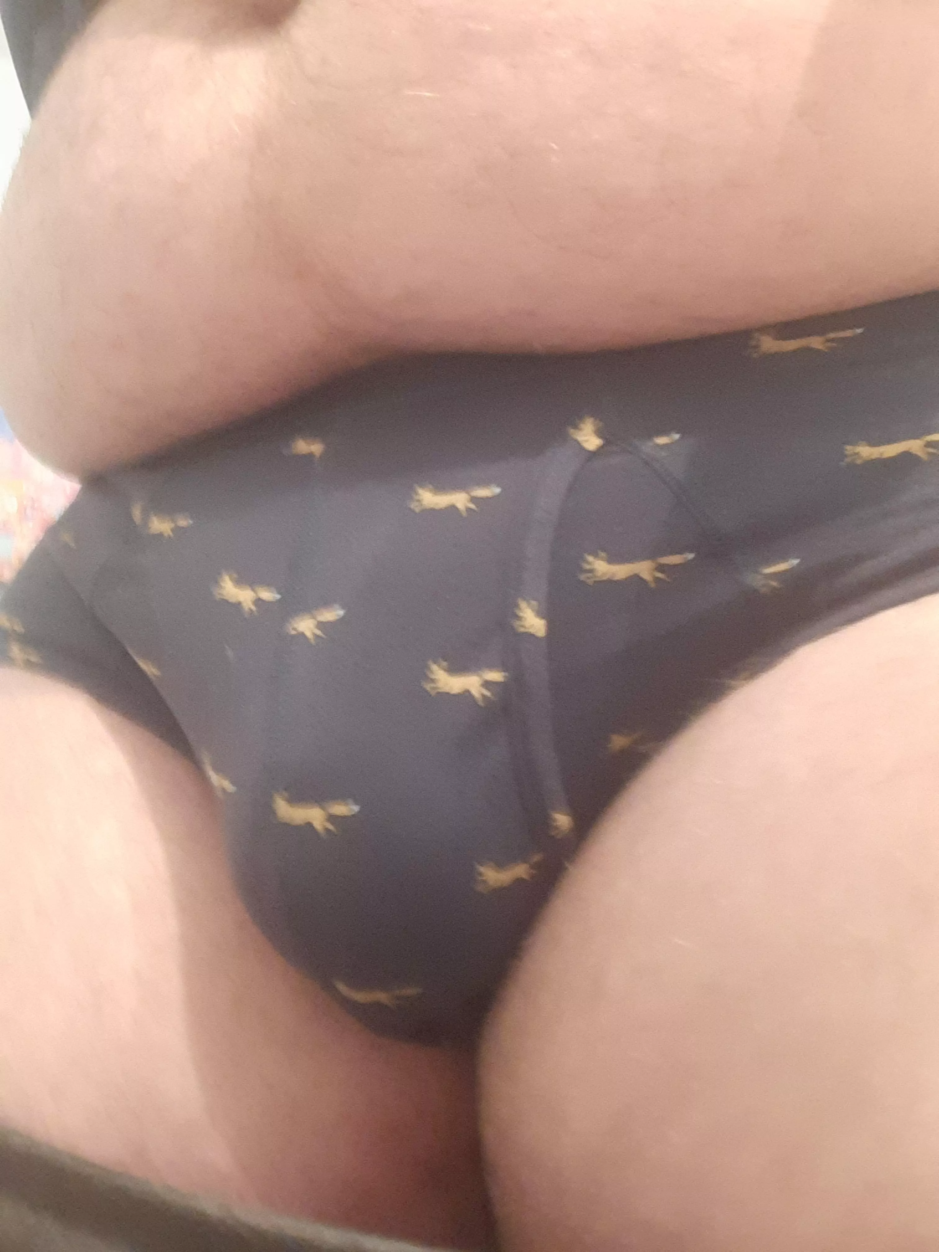 I figured out what the Fox says! It's we got you covered...