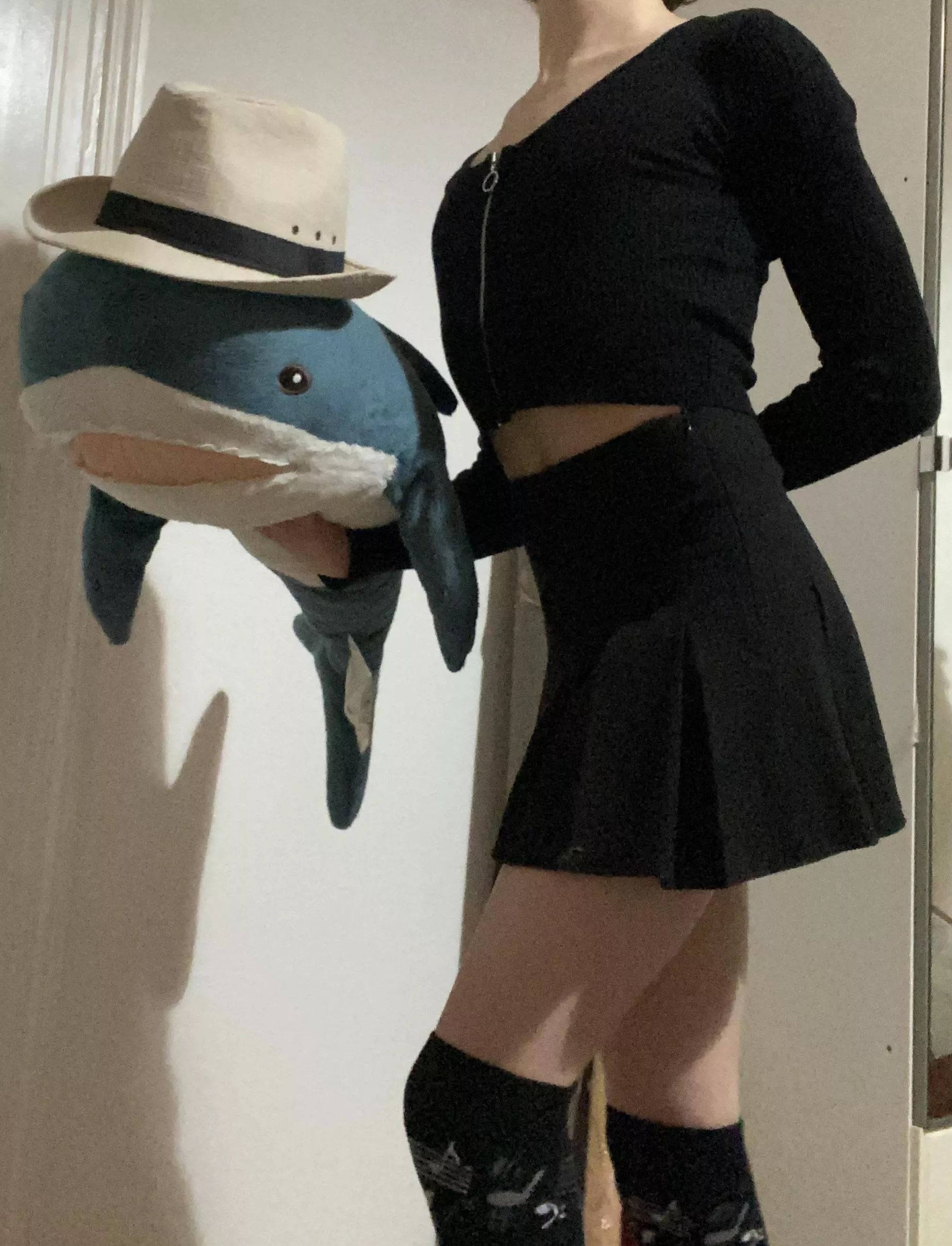 I Present; A Very Dapper Shark