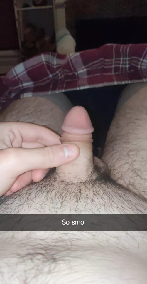 let's show each other how s(m)all we are. l love small cocks (25)