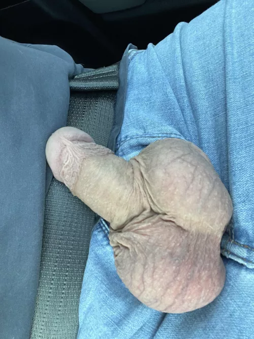 Love pulling my dick out while driving