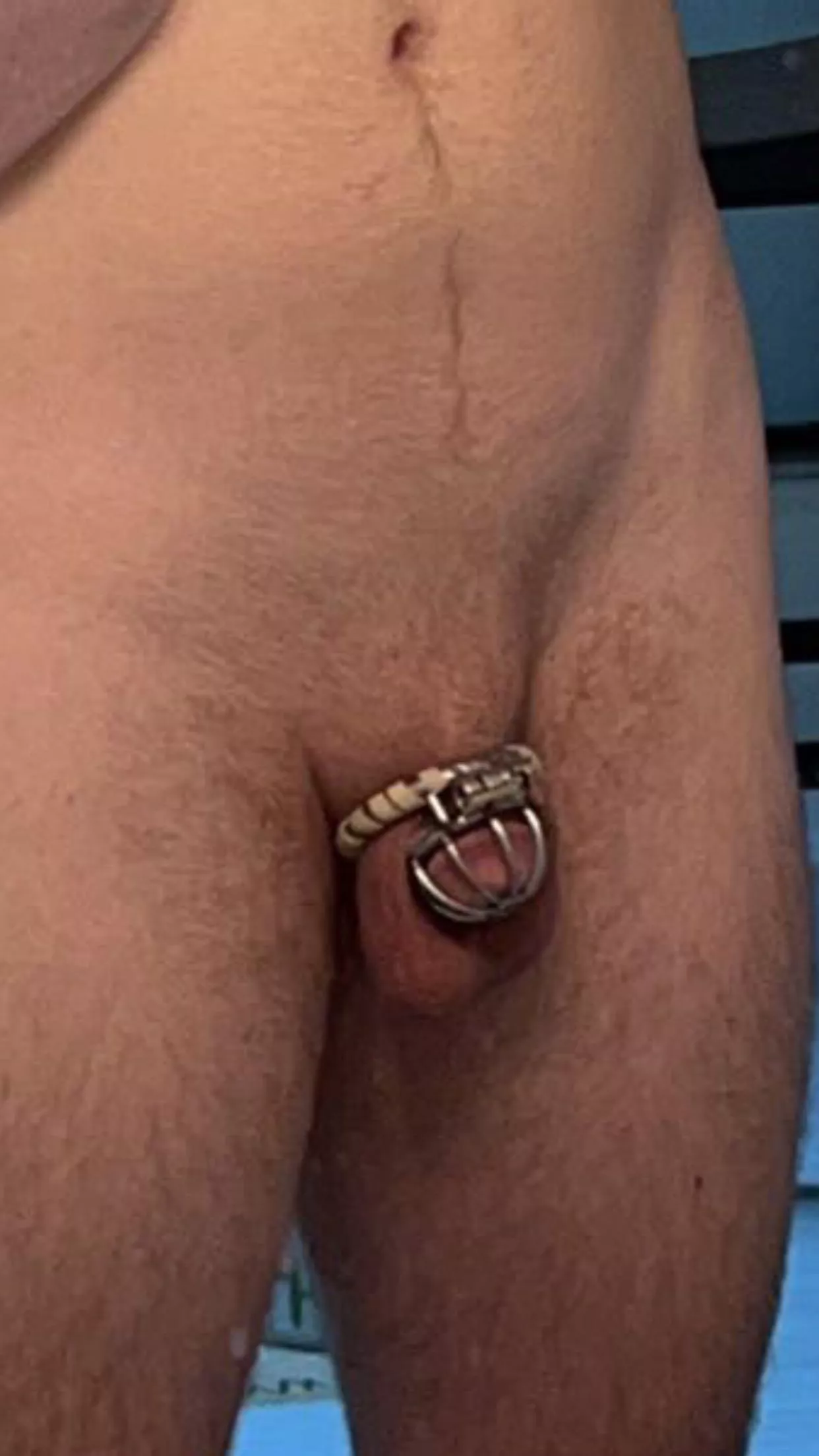 Mistress's Sub who enjoys seeing him locked up.