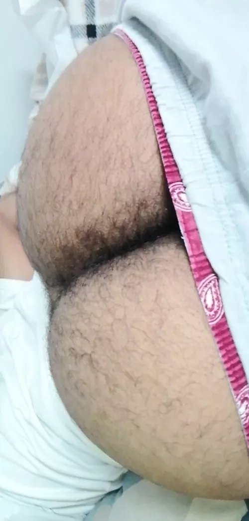 Need someone to Bury their face in my hairy ass. Dms open