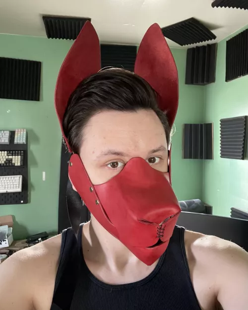 New pup in his first muzzle