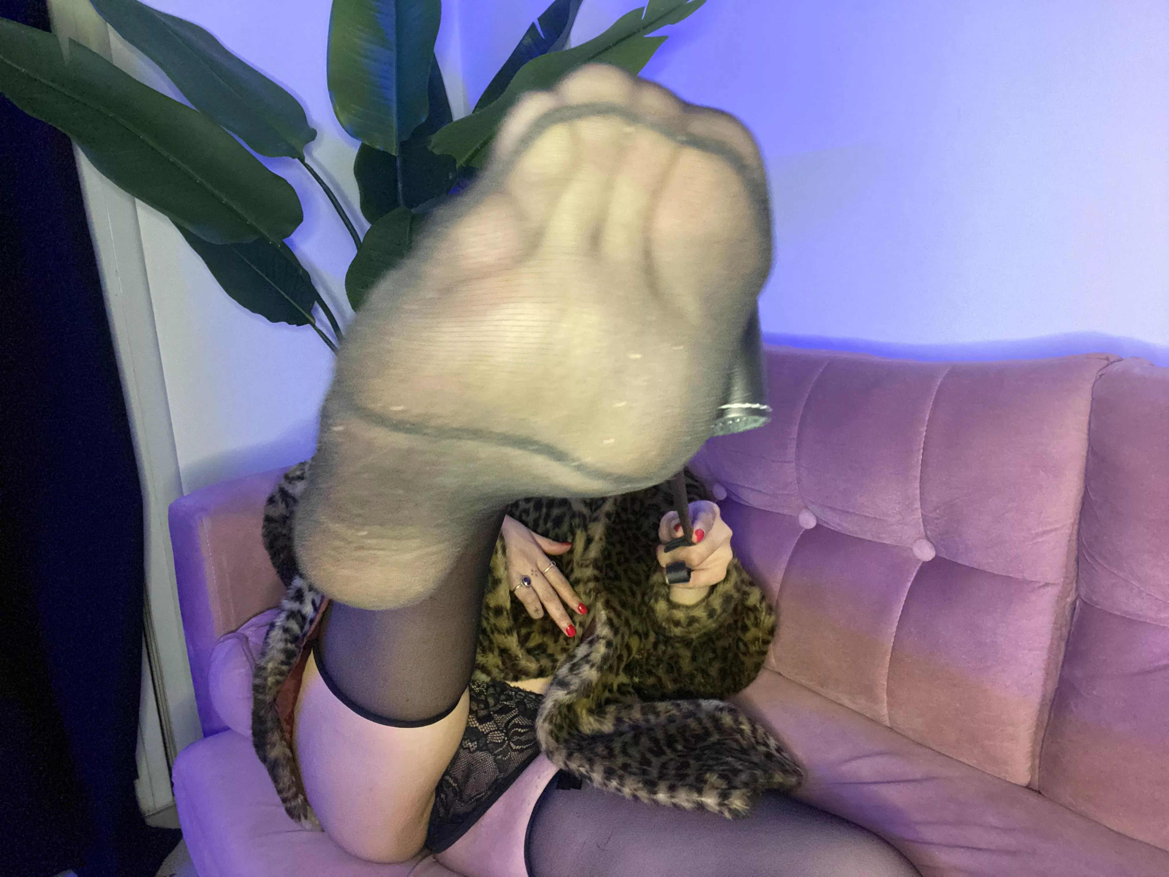 open yor mouth, foot bitch 😈