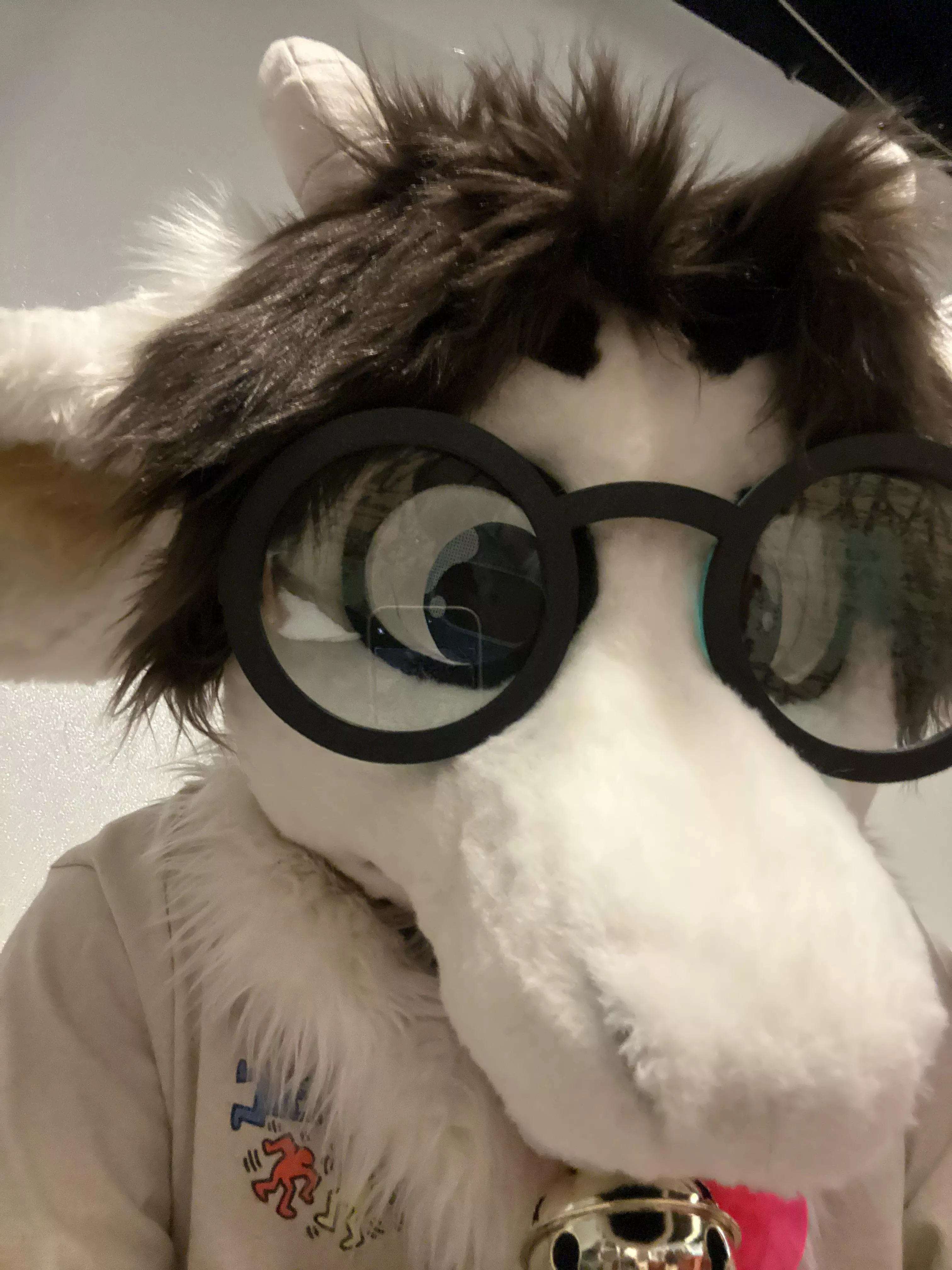 Please come chat with me I’m so bored.