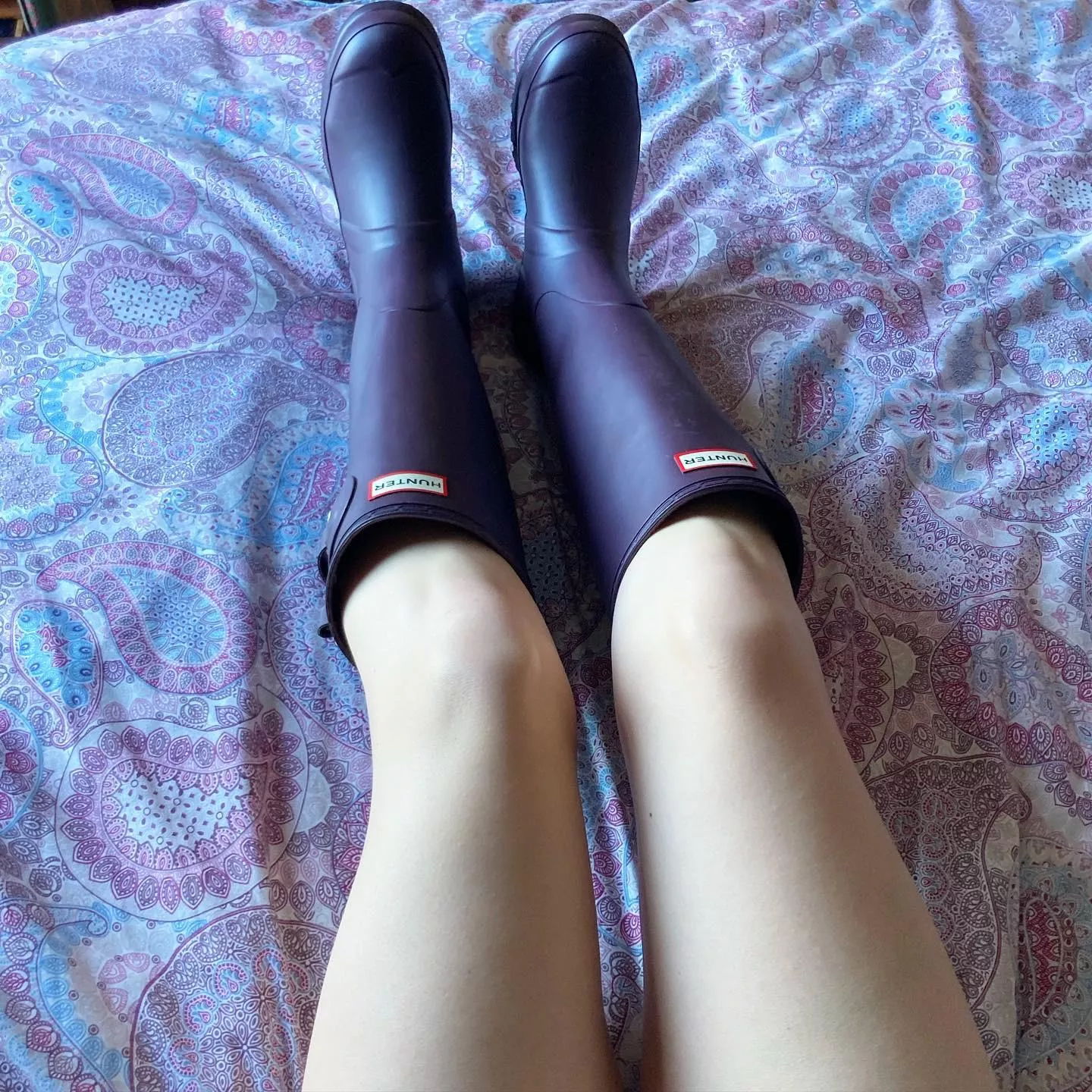 Purple Hunters Arrived!