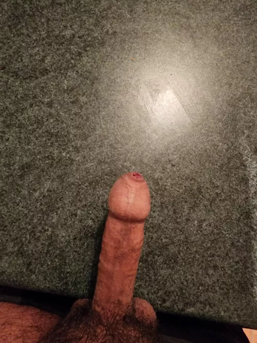 Rate my cock on the kitchen counter 😂